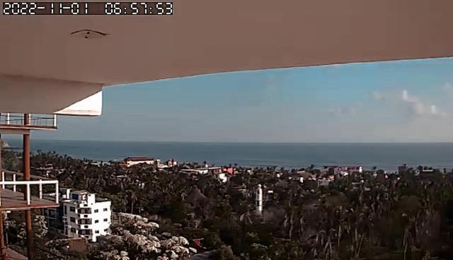 Hotel Punta Del Sol Zipolite Εξωτερικό φωτογραφία